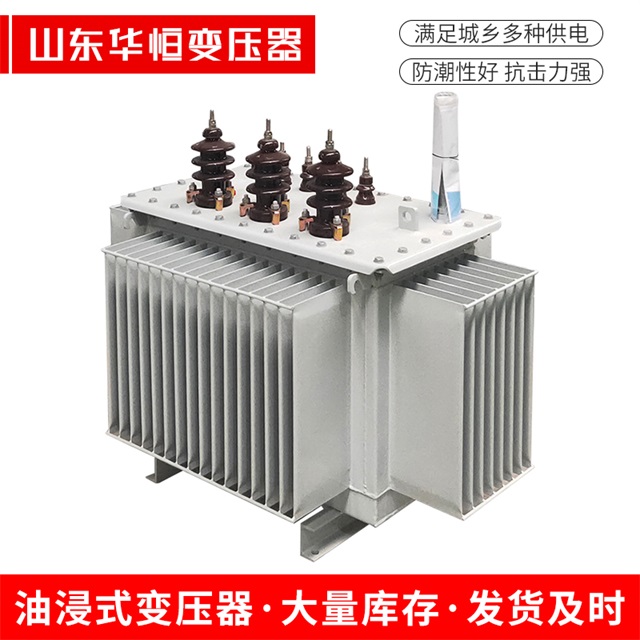 S13-10000/35越秀越秀越秀油浸式变压器厂家